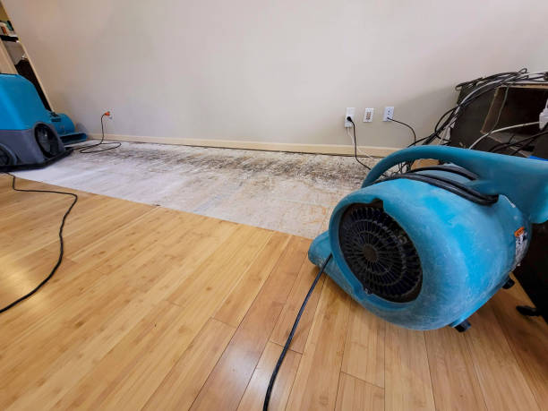 Professional Structural Drying technician working in West Covina, CA
